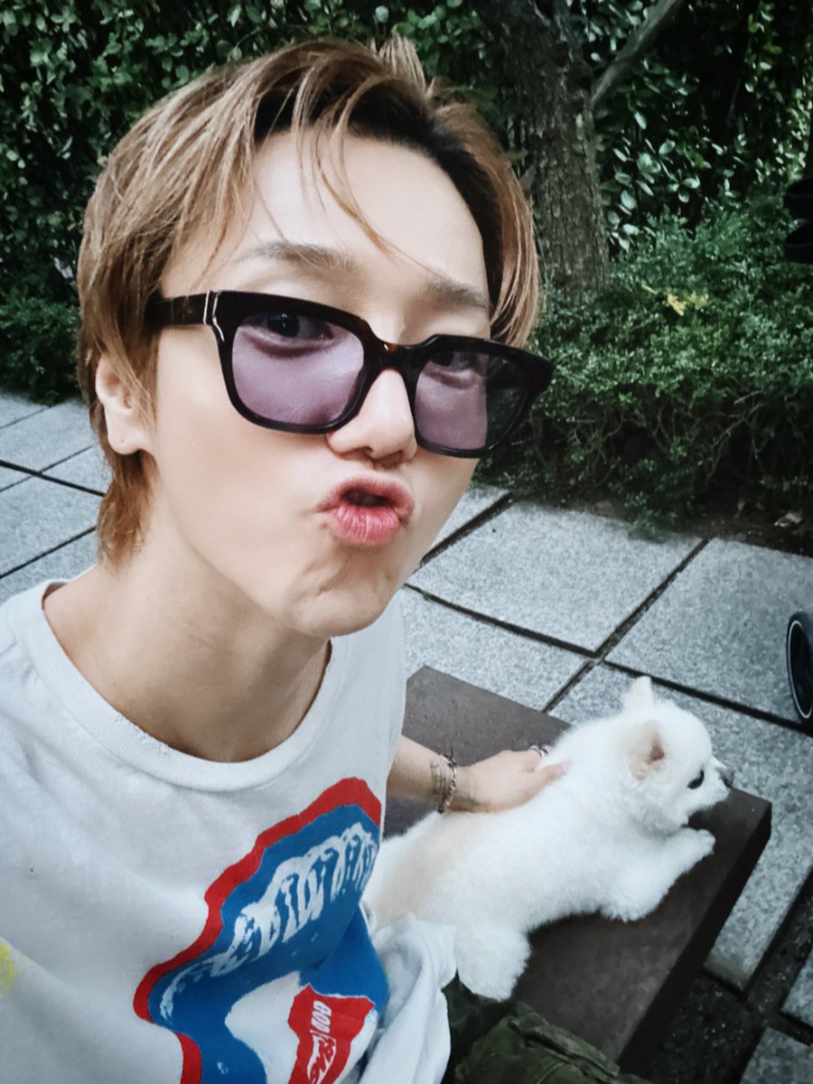 shfly3424's tweet photo. 돌아왔으니 함께 산책 😊 https://t.co/k3ILoEq7yf