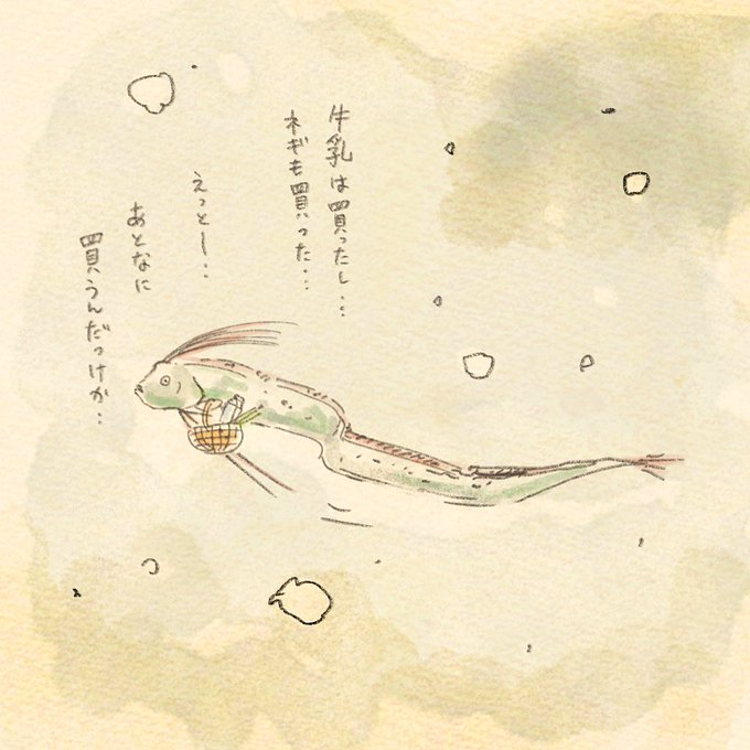 リュウグウノオツカイ。
#海の日 