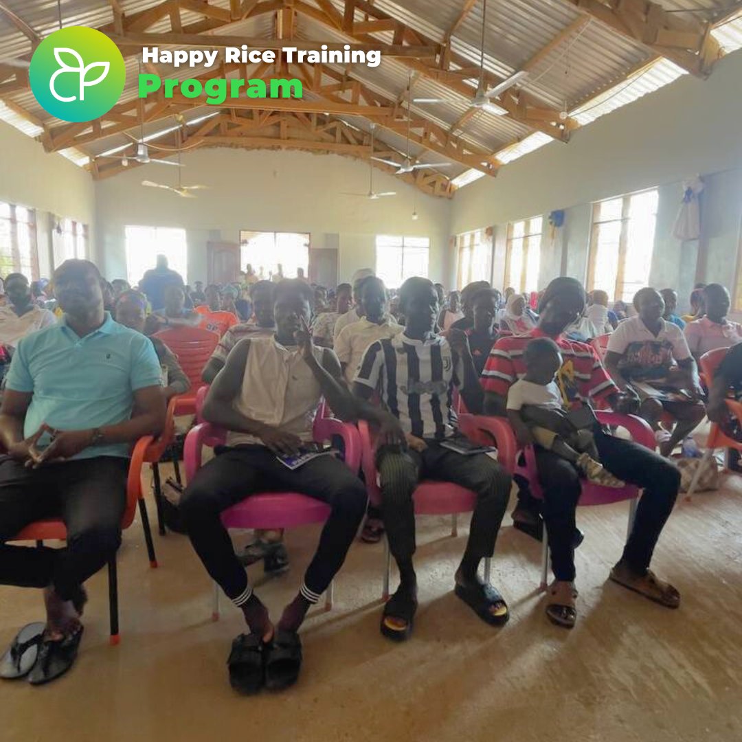 agrokingsgh's tweet photo. Meet our H.A.P.P.Y. Rice Farmers!
We believe in empowering hardworking farmers and individuals to achieve sustainable and prosperous futures.
Their dedication and passion ensure that every grain of rice is grown with care and quality.
#iEatLocal #SustainableFarming #Empowerment https://t.co/K2EXfYvhjC
