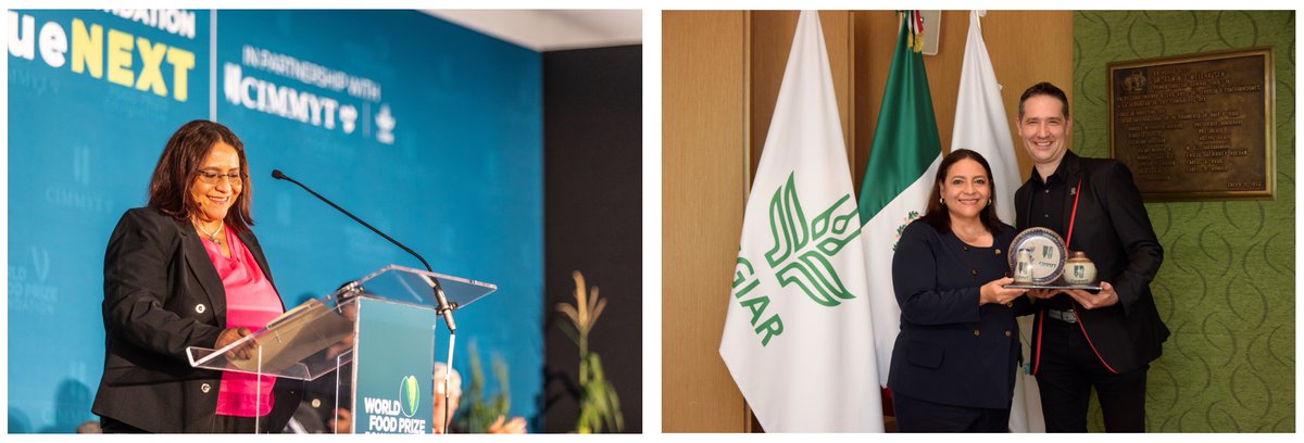 bramaccimmyt's tweet photo. .@LauraSuazoT, Secretary of Agriculture &amp; Livestock, Honduras, joined us in #DialogueNext 🇲🇽. We explored opportunities to strengthen collaboration to safeguard &amp; study the country’s maize germplasm, as well as to define a joint regional research agenda. #TakeItToTheFarmer https://t.co/Pxk2yEgMTE