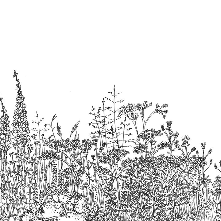 New for 2018! Dr Beynon's Bug Farm in St David's are linking up with Julia Horton-Powdrill from Wild About Pembrokeshire to deliver some fascinating foraging workshops at #thebugfarm! #food #foraging bit.ly/3xihNw5