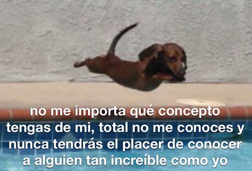 emociones amarillas (@conoloracigarro) on Twitter photo 