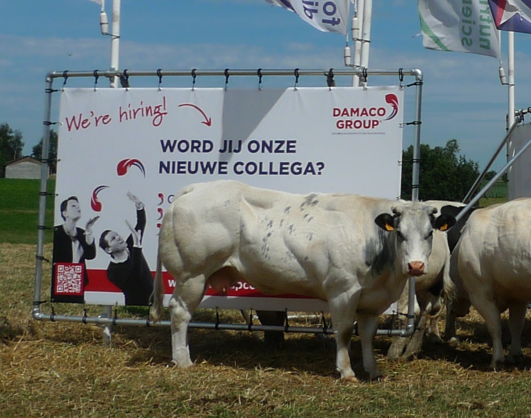 Achteraan aanschuiven aub...