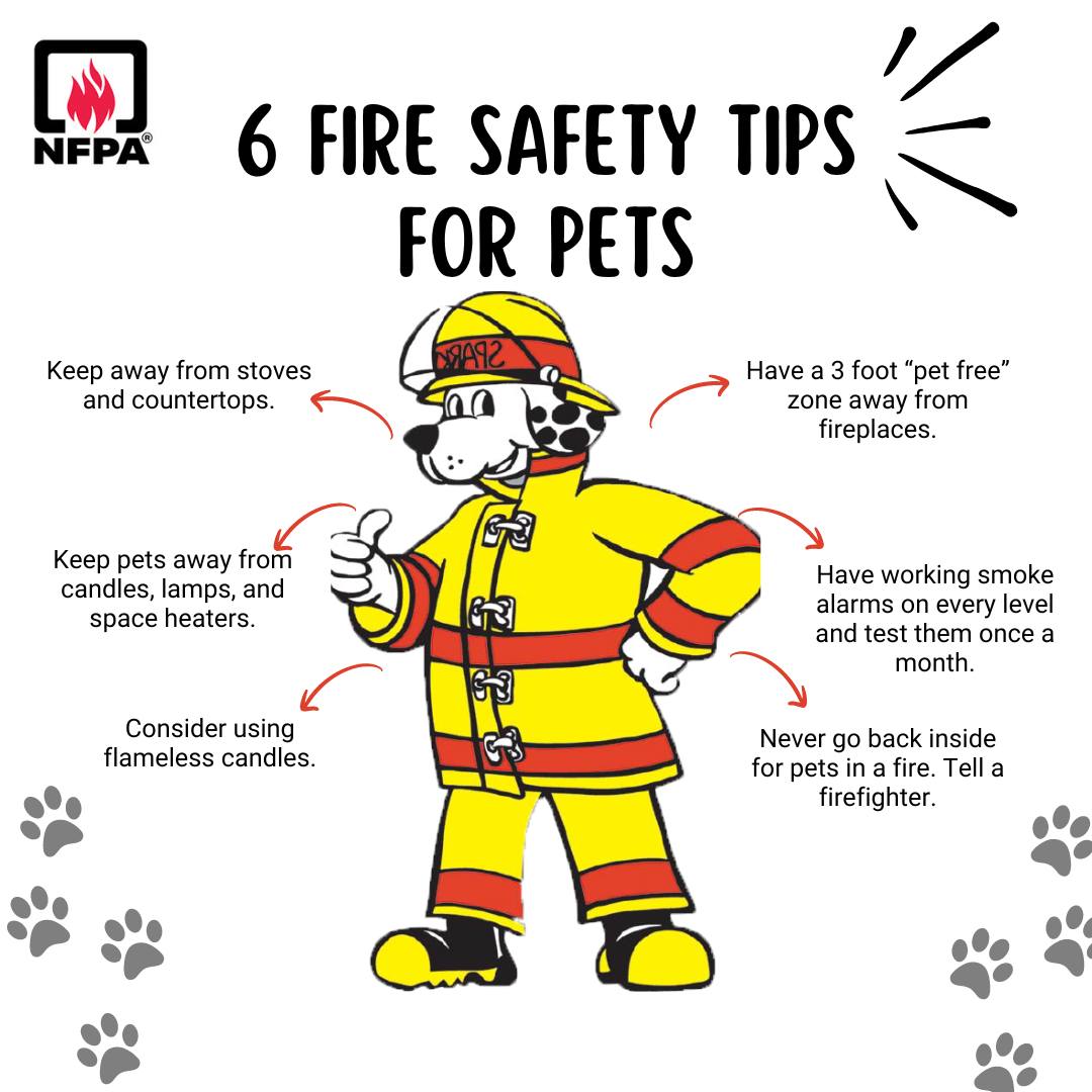Today is #NationalPetFireSafetyDay! Did you know pets can accidentally start fires? It's important to keep them safe. Check out these tips on home fire safety, smoke alarms, and preparing your pets for emergencies. Download the complete tip sheet here: nfpa.social/7xvj50SzTtf