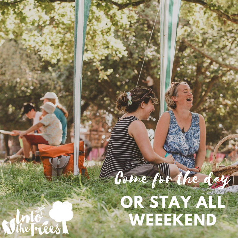 Into The Trees  🌳 tweet media