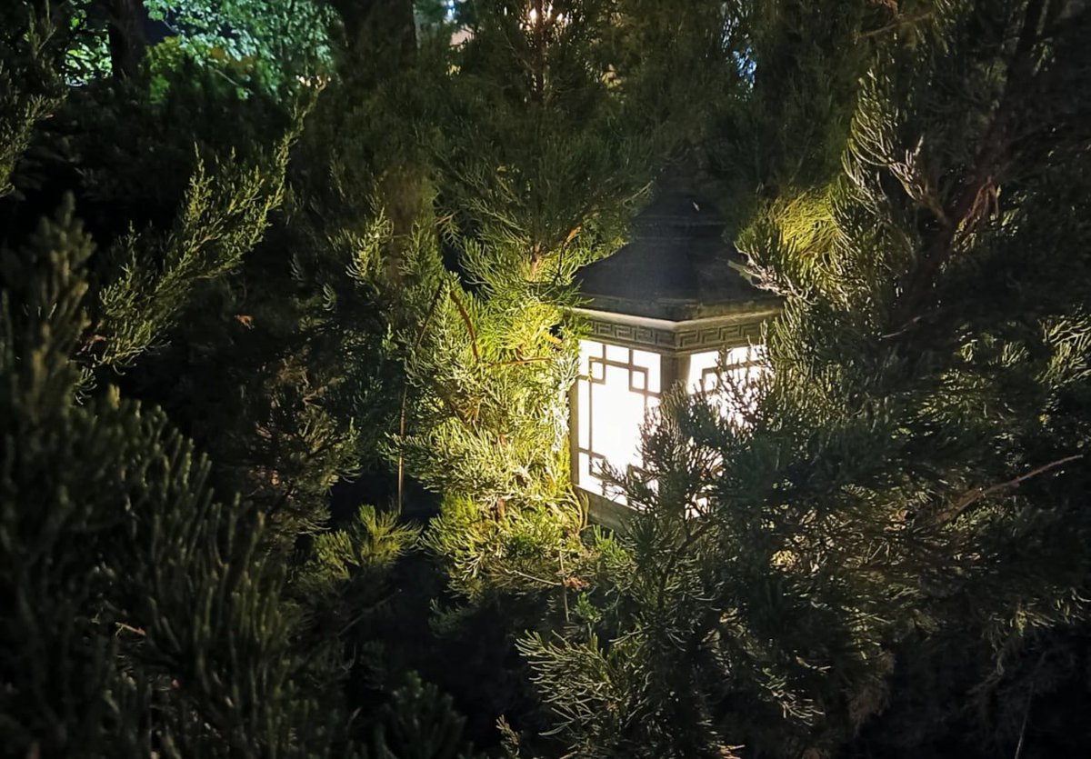 夏の夜は蝉の鳴き声を忘れて、心静かに過ごしましょう☘️🌒