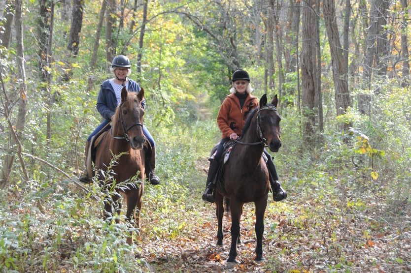 AmericanMorgan's tweet photo. Happy Feel Good Friday with Ellen and "Sweetie" and Michelle and "Echo" enjoying a peaceful trail ride on Pikes Bridge Road Trail.

📷 submitted by Ellen Alden

#FeelGoodFriday #happyfriday #amha #morganhorse https://t.co/AASsa9pEnq