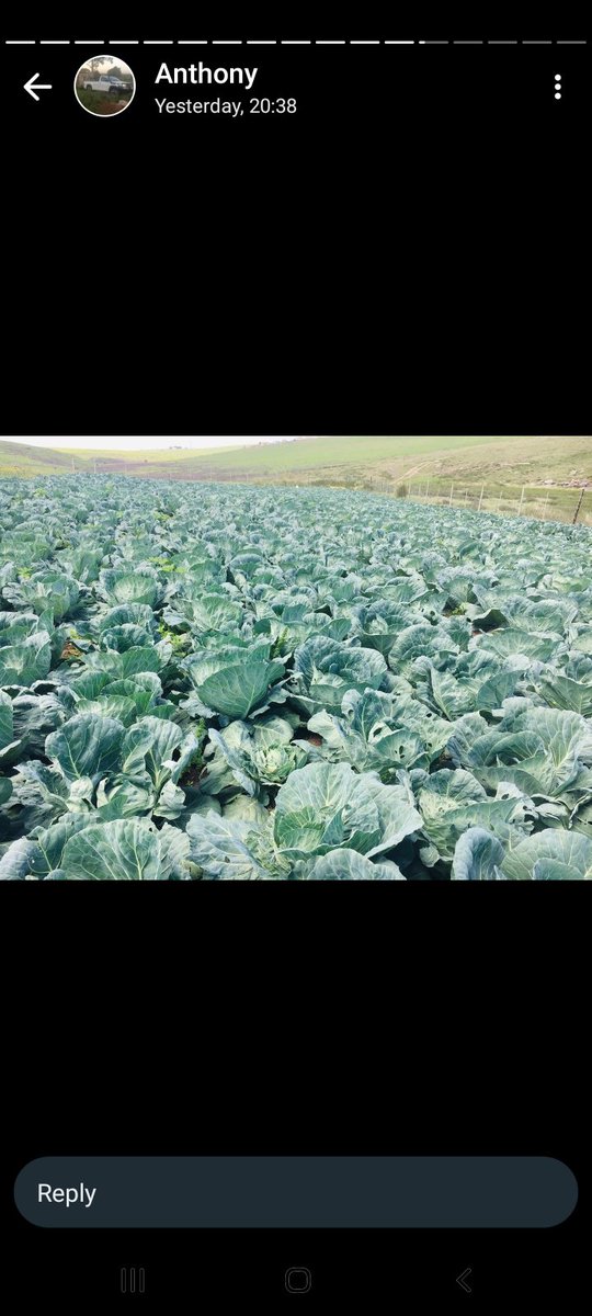 officailqueenv's tweet photo. @AutoandGeneral We have a  farming business called  UlutshaLendalo Agricultural and  we don't have  a laptop for our business to keep our file safe and to send emails 
#AutoandGeneral
#NeverNotHere https://t.co/18ethx50pJ