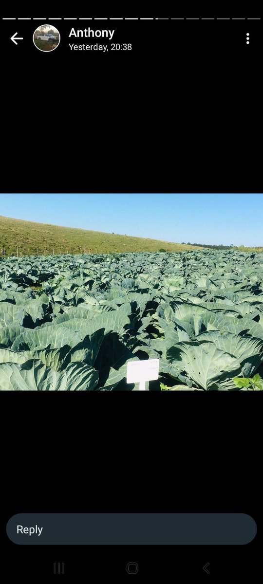 officailqueenv's tweet photo. @AutoandGeneral We have a  farming business called  UlutshaLendalo Agricultural and  we don't have  a laptop for our business to keep our file safe and to send emails 
#AutoandGeneral
#NeverNotHere https://t.co/18ethx50pJ