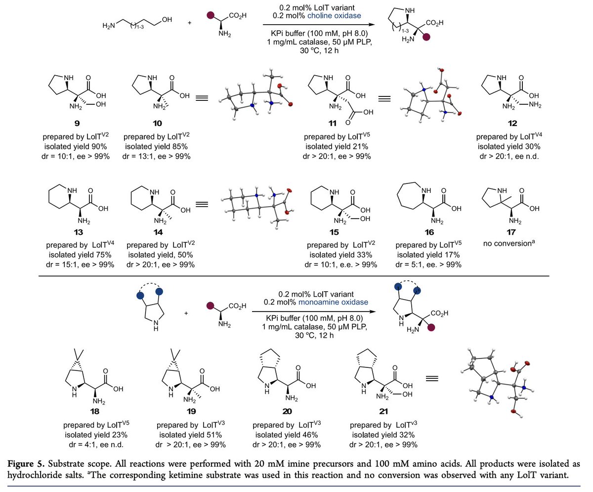 EnzymeChemistry's tweet photo. #EnzymaticSynthesis of Unprotected α,β-Diamino Acids via Direct Asymmetric Mannich Reactions by @shaonan_liu, Jinmin Gao, @yike_zou, and @yanghaiBioChem at @UCSB_Chemistry in @J_A_C_S https://t.co/0E3hAlts8p https://t.co/kLYGw9jiwv