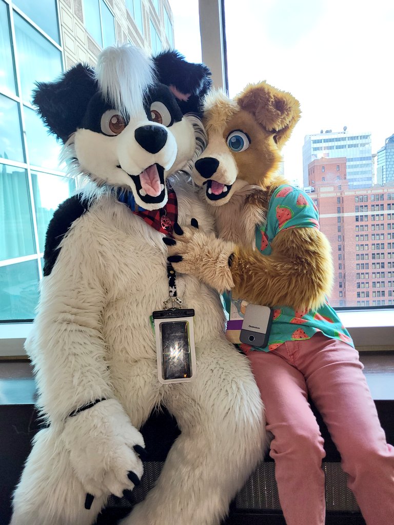 Doggies! 🐶
With: <a href="/MaxBaxCollie/">Maxwell Baxter-Corrie</a> 
#AC2024 #Furry #Fursuit