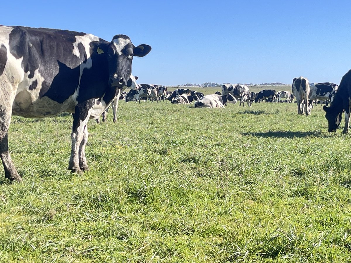 Después del frío , un día espectacular !! La primavera está cerca !! En este sector nunca se bajan los brazos !! 💪🏻💪🏻