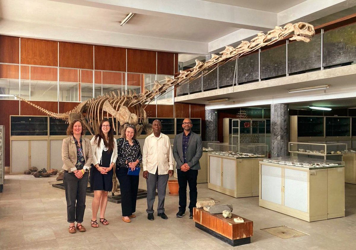 Dr Kathryn Goodenough tweet media