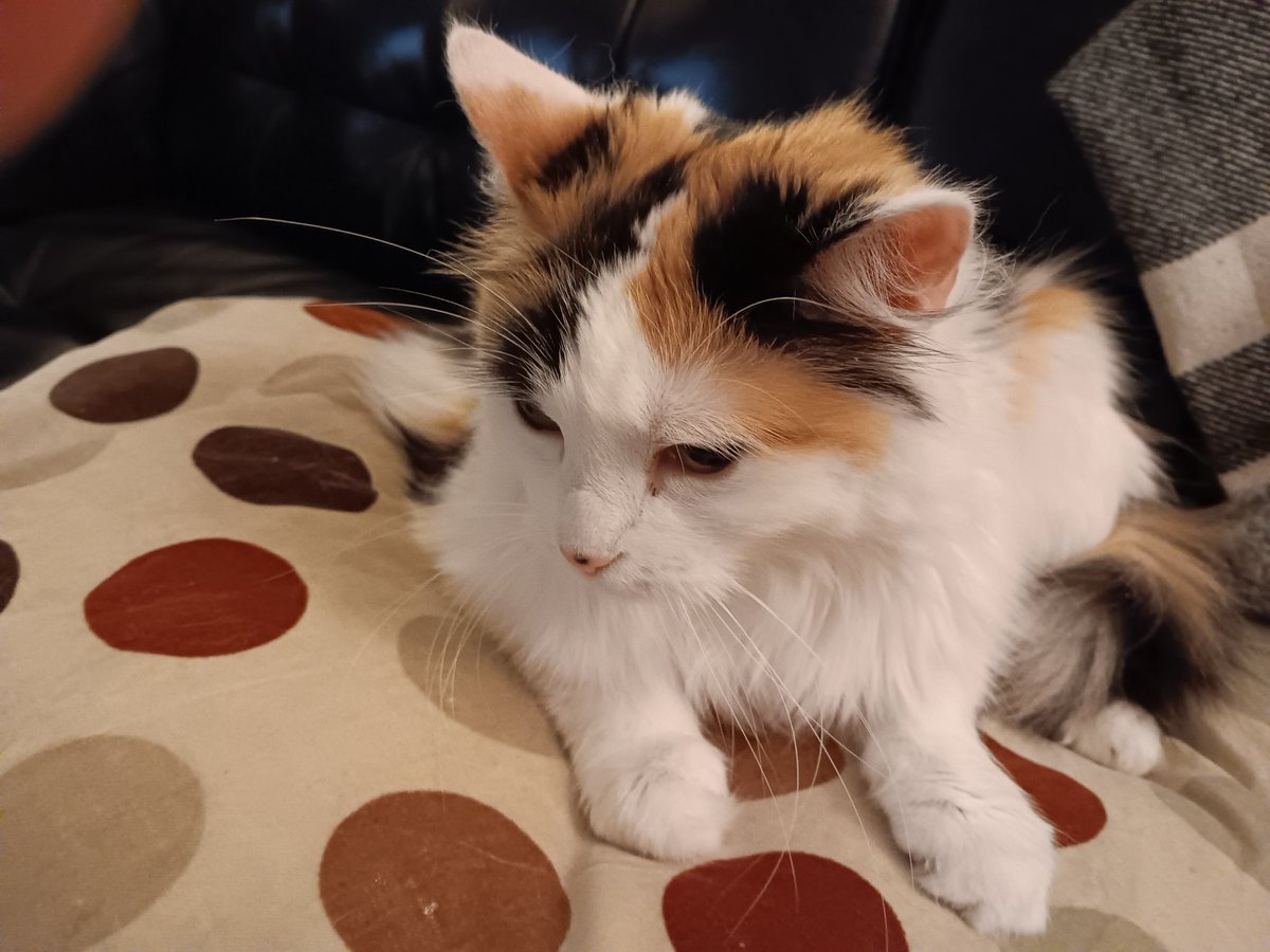 However terminally messed up the world may be, at least it contains Moira 🙂