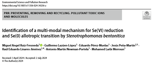 microlab103's tweet photo. Check out our latest publication in ESPR: "Identification of a multi-modal mechanism for Se(VI) reduction and Se(0) allotropic transition by Stenotrophomonas bentonita" https://t.co/NV1KbCTEaf 
Flagellin could be involved in Se crystallization.
https://t.co/9iSxXR9xxz https://t.co/37864zemBL