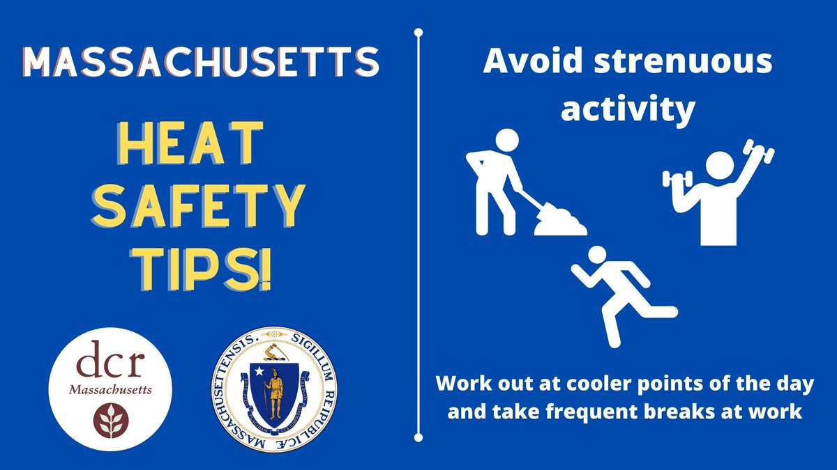 MassDCR tweet media