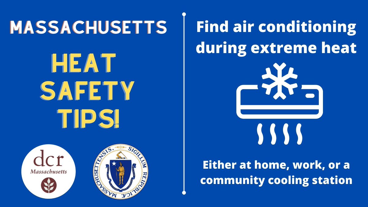 MassDCR tweet media