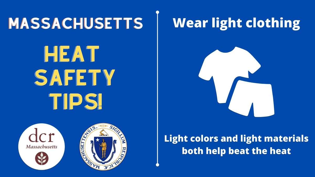 MassDCR tweet media