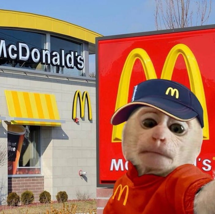 travka_eth's tweet image. 0.25 SOL ($38) Giveaway

    rt &amp;amp; like  

    drop ur sol adress

    like and comment my last post👇
 
    ✍️Ends in 60 mins