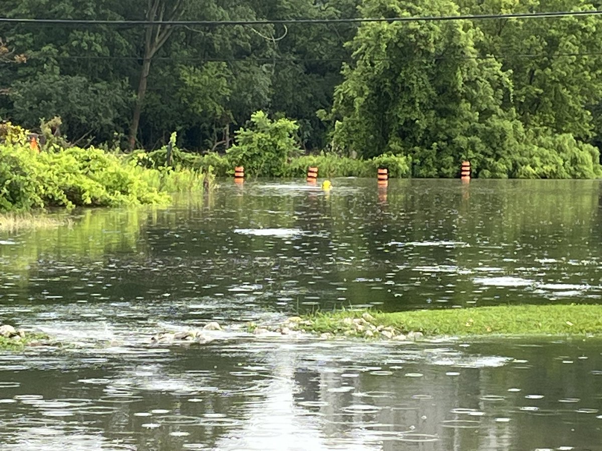 swo_transit's tweet photo. Mud Creek flooding, London ON https://t.co/qe3ILMoIO1