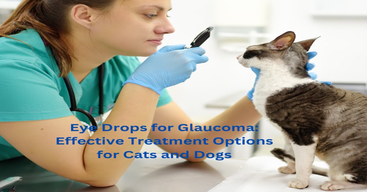 Dock Pharmacy tweet media