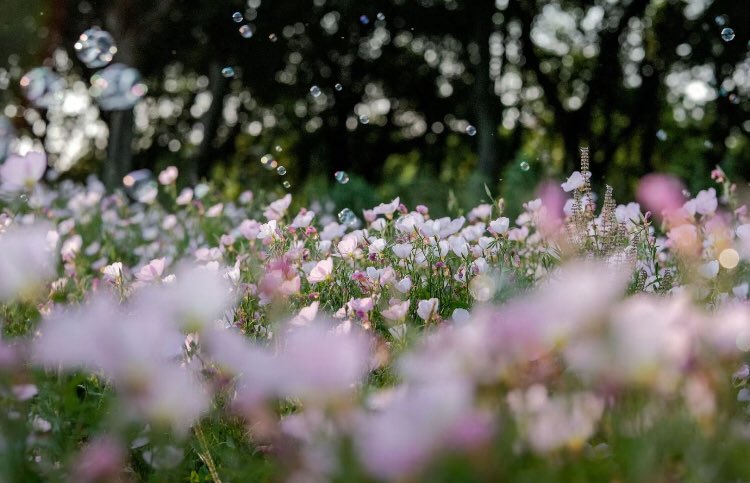 fairyprxncess's tweet image. 