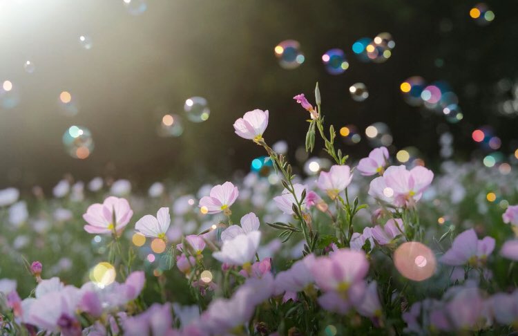 fairyprxncess's tweet image. 