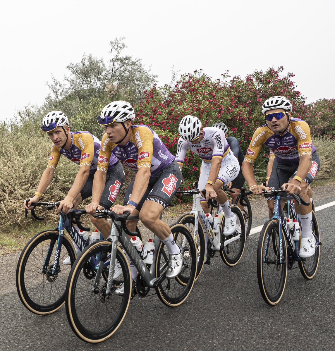 Alpecin - Premier Tech tweet media