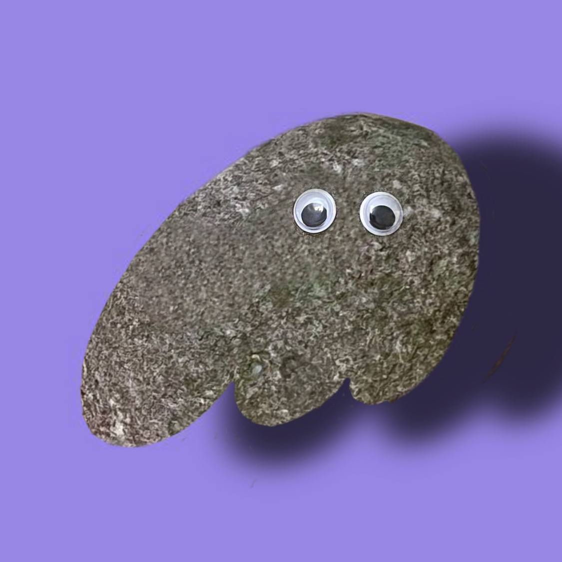 <a href="/phantom/">Phantom</a> $ROCKY x Phantom