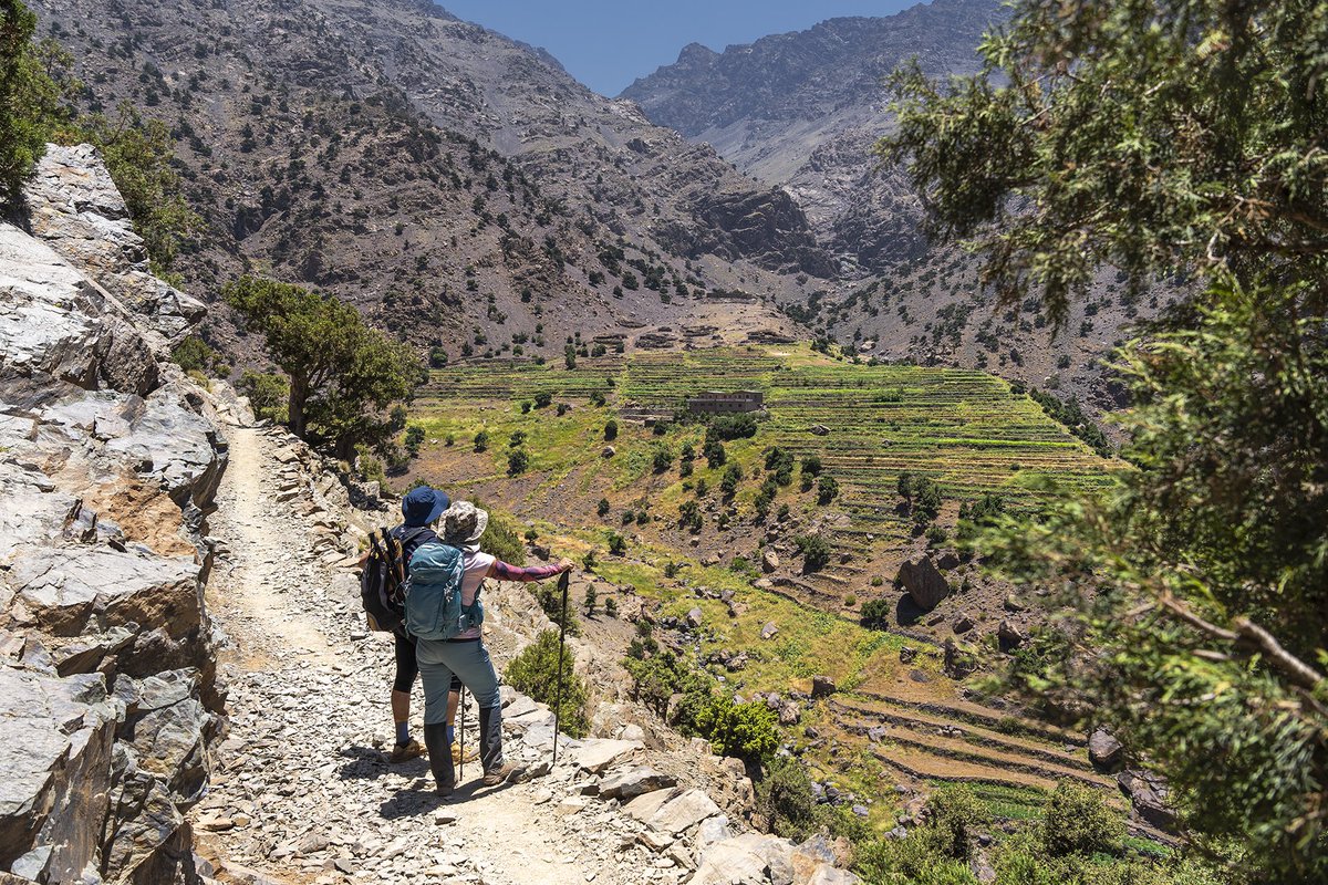 Nauzet Gonzalez tweet media