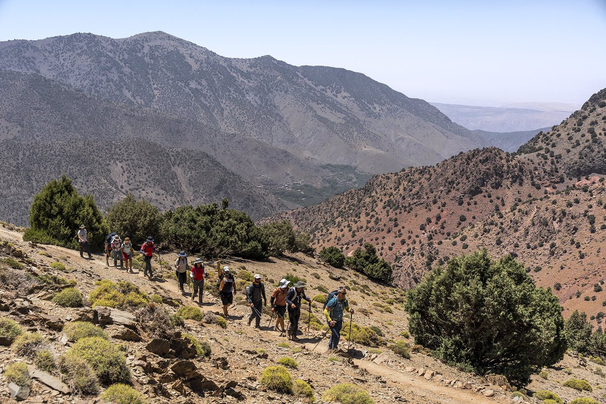 Nauzet Gonzalez tweet media