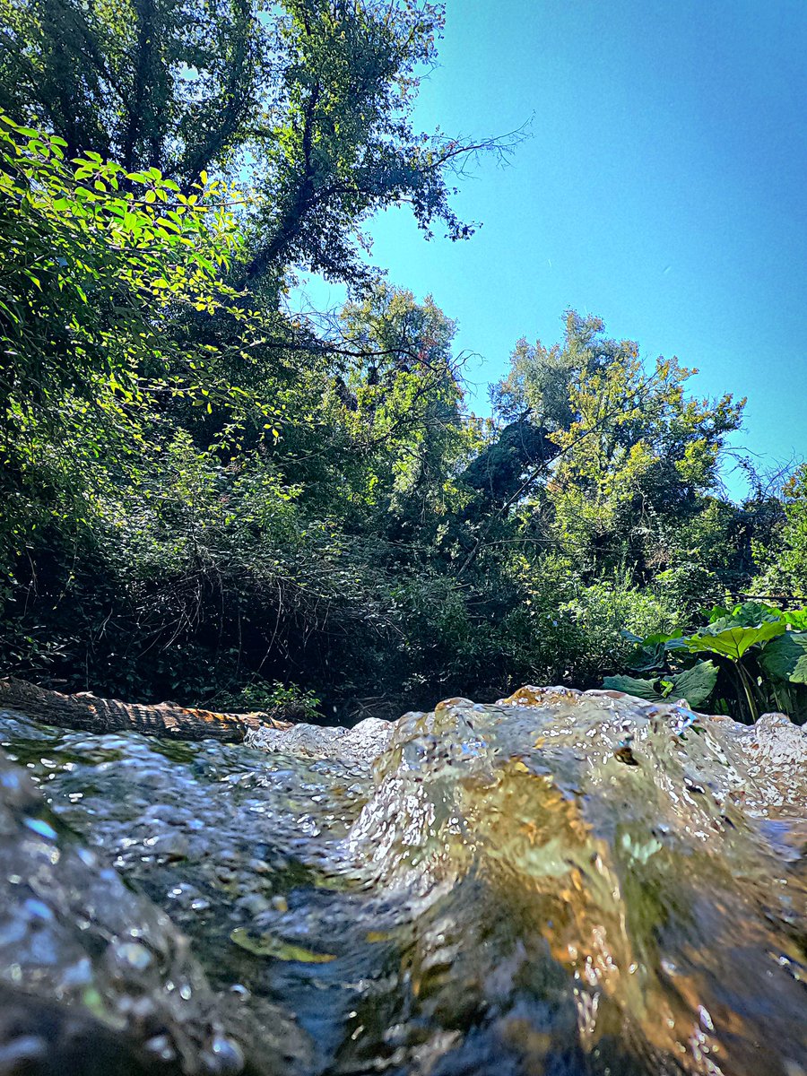 photoroma69's tweet photo. A view from the river Farfa near Rome. #gopro #goprophoto @GoProPhotos @GoPro https://t.co/VHJBBVOzOv