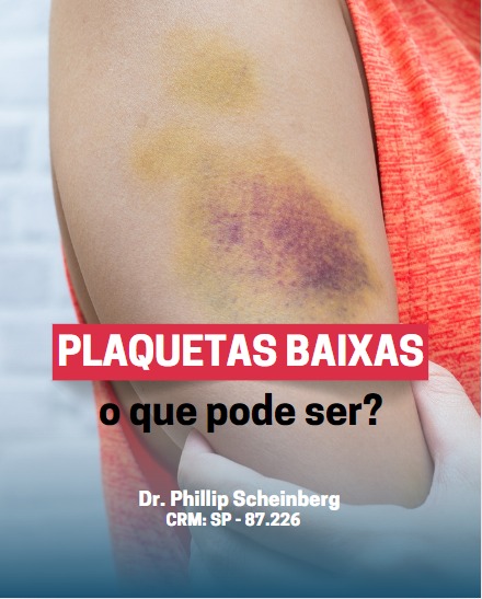 Phillip Scheinberg tweet media