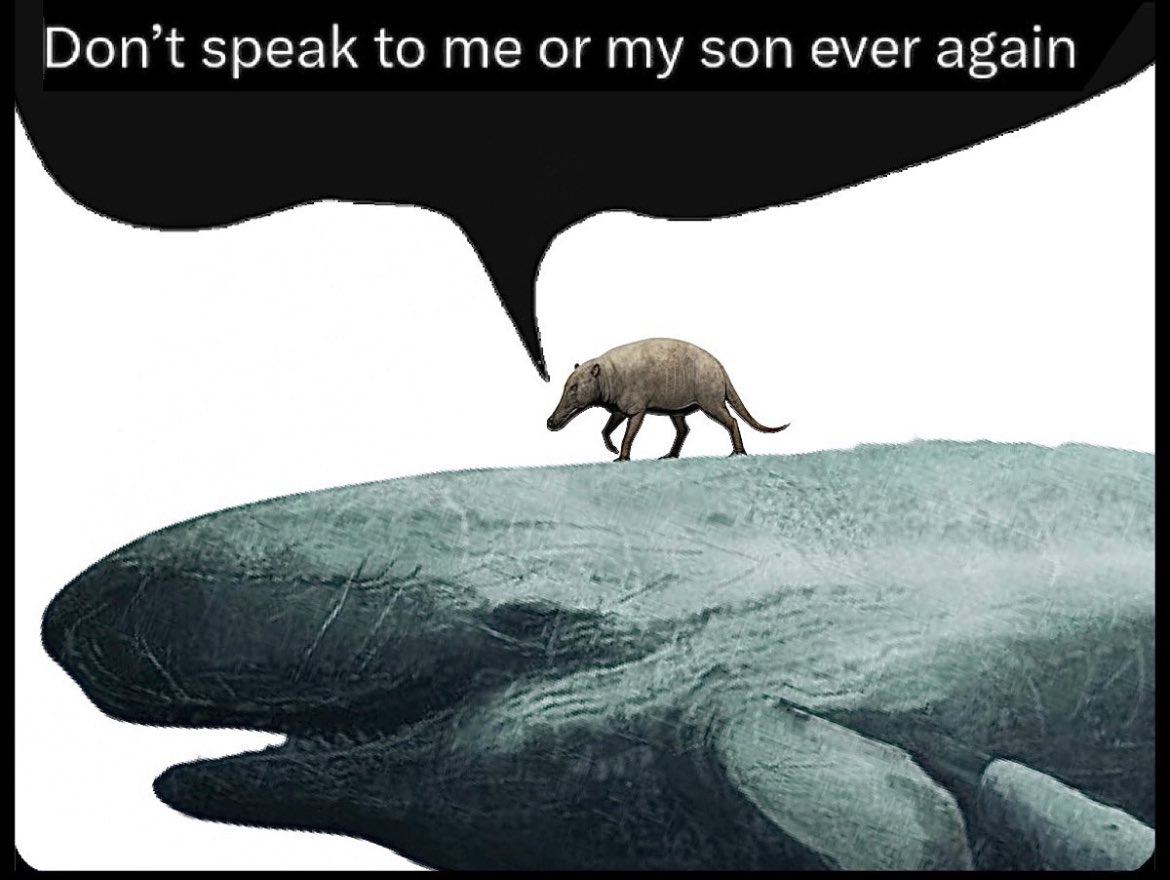 alien kitten (@0shitpostin2) on Twitter photo 