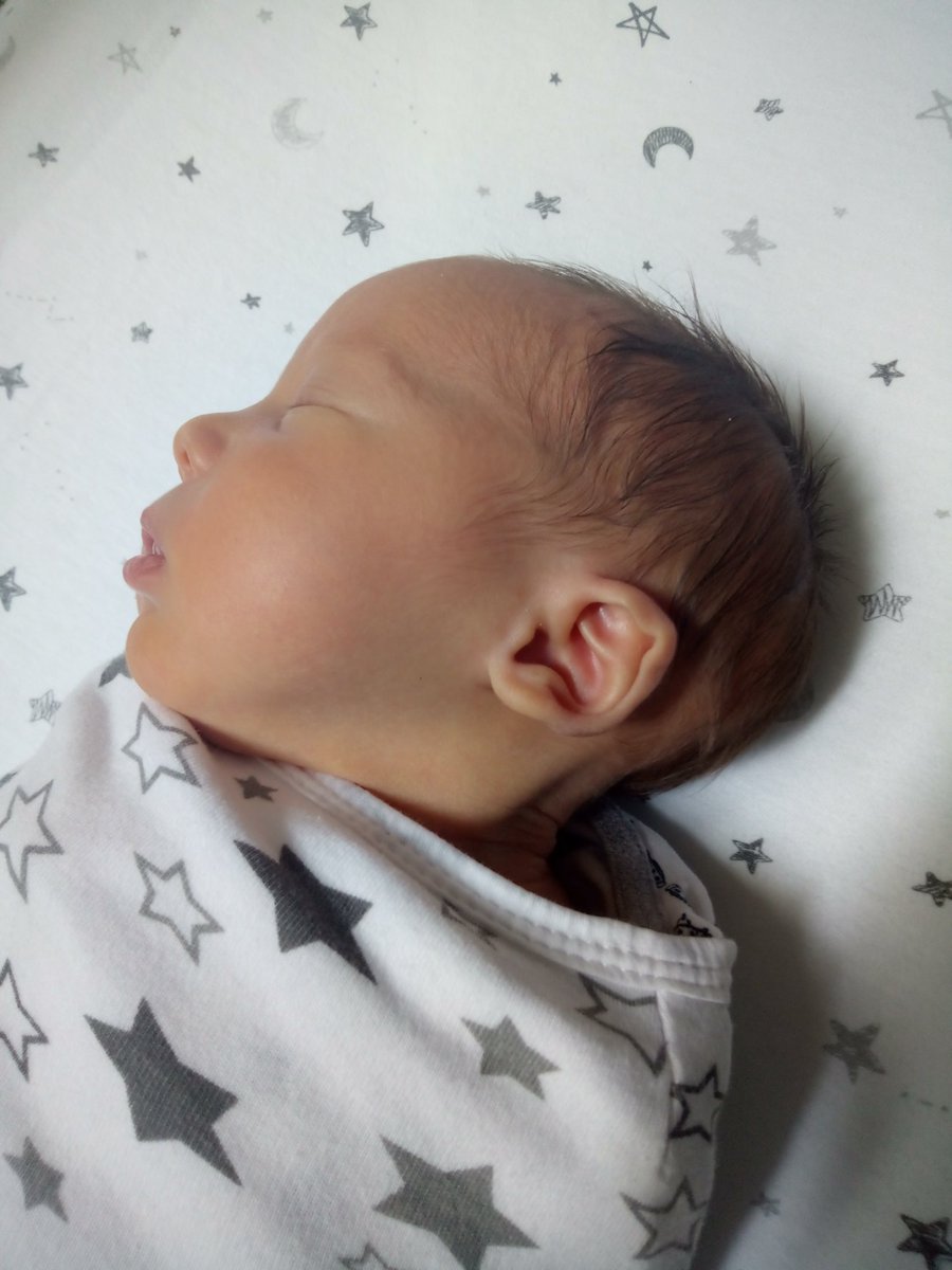 NOTimothyLottes tweet media