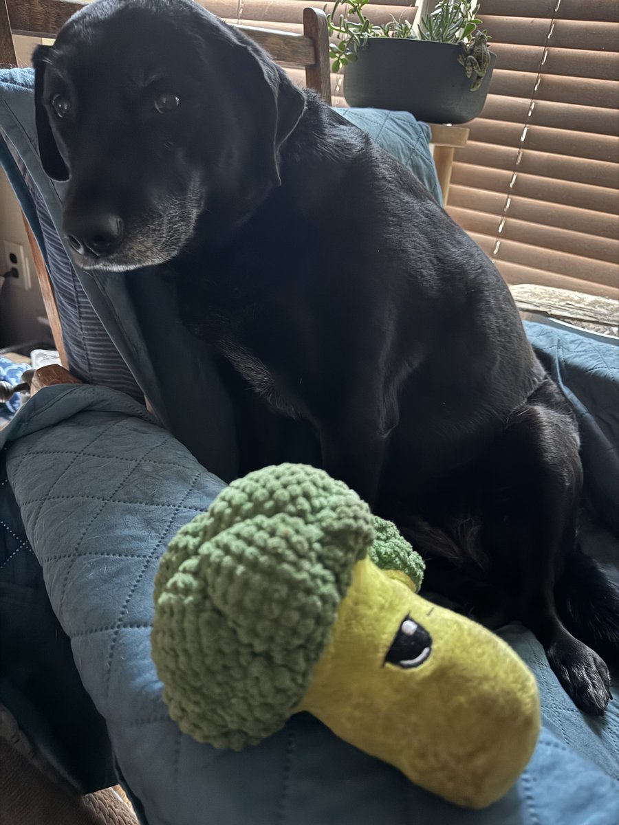 Andy ✌🏻 tweet media