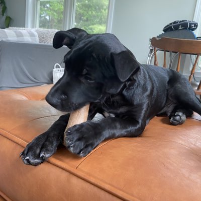 #NewProfilePic