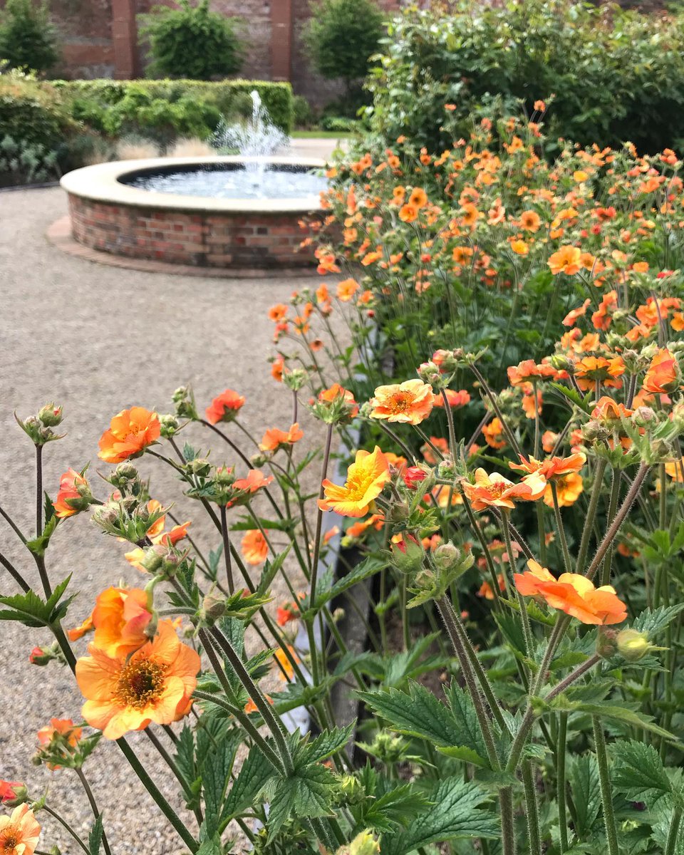 Flower Power Fairs tweet media