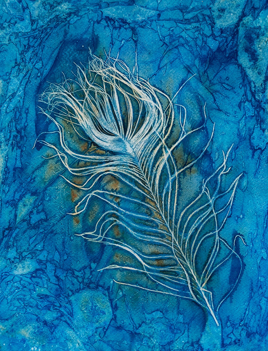 inspired0images's tweet photo. Just a peacock feather

A peacock feather is renowned for its vivid and intricate design, which is both captivating and elaborate. 

#Cyanotype
#Wetcyanotype
#peacockfeather
#Worldcyanotypeday
#Sunprints
#fabrianoI264
#feather
#peacock https://t.co/pgmHk89YJJ