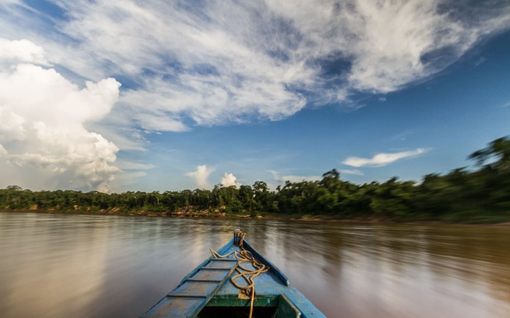 Global Insight tweet media