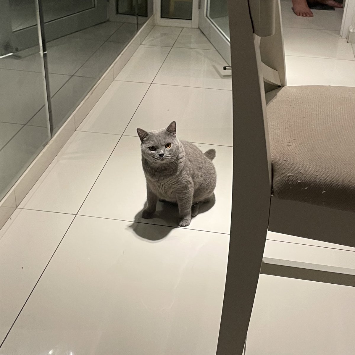 tattyhassan's tweet photo. “Apa ko panggil aku? Ko ulang sekali lagi kalau ko berani yal” https://t.co/BhB4WFWYS1