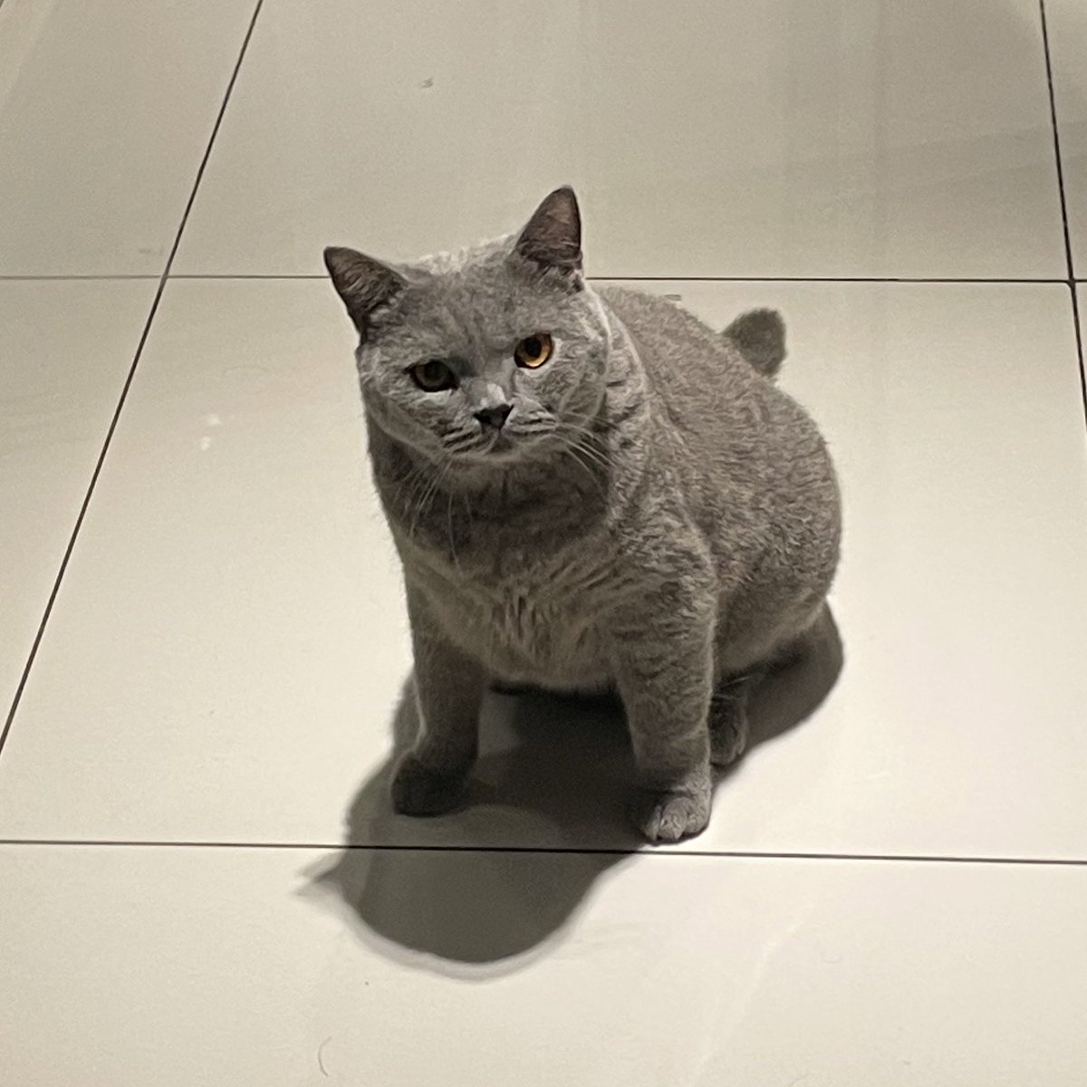 tattyhassan's tweet photo. “Apa ko panggil aku? Ko ulang sekali lagi kalau ko berani yal” https://t.co/BhB4WFWYS1