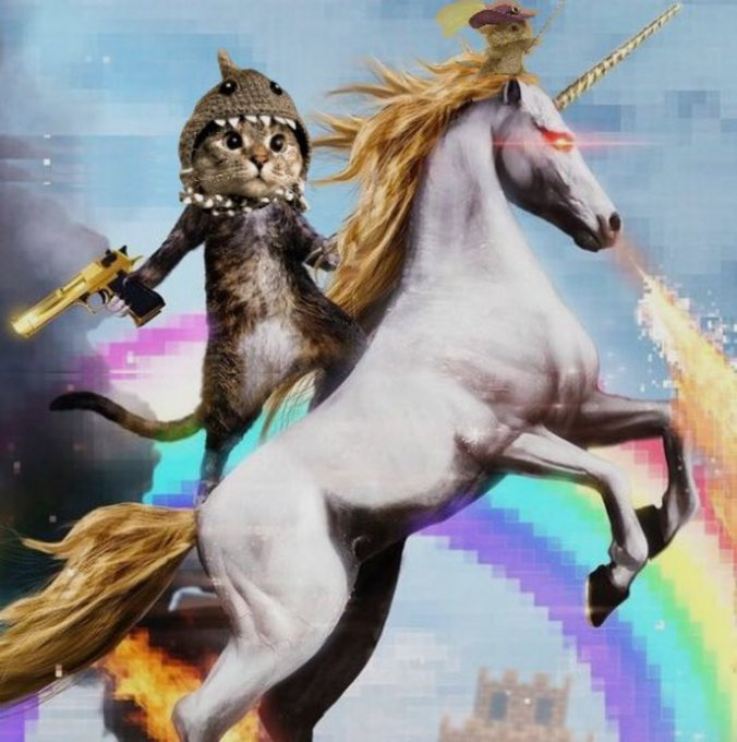 CountryBitcoin's tweet photo. Engagement on $SC is unbelievable...it's so mispriced right now. I converted the rest of my tradeable $POPCAT (keeping a moon bag forever) at $.50 to $SC at $.017...winning trade so far...70% gain compared to 50% gain!

Send all cats!!! https://t.co/qxQdBsWAXb