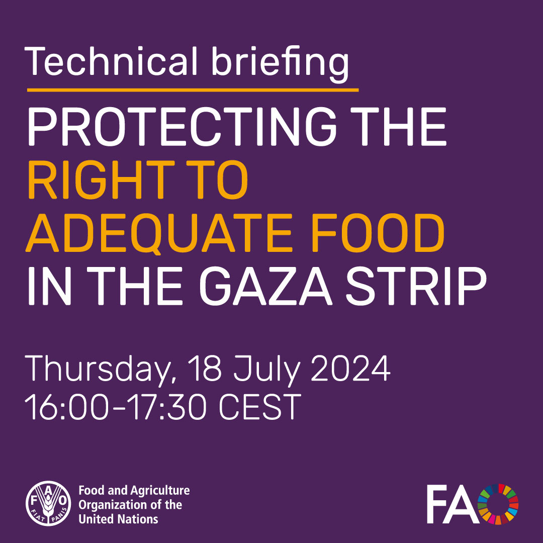 The #RightToFood is essential for human dignity &amp; the realization of other rights

The crisis in Gaza has severely impacted this right, exacerbating hunger &amp; starvation

Register to join our briefing on challenges faced &amp; needed interventions

🗓️ 18 July
📌bit.ly/3LmgVK8