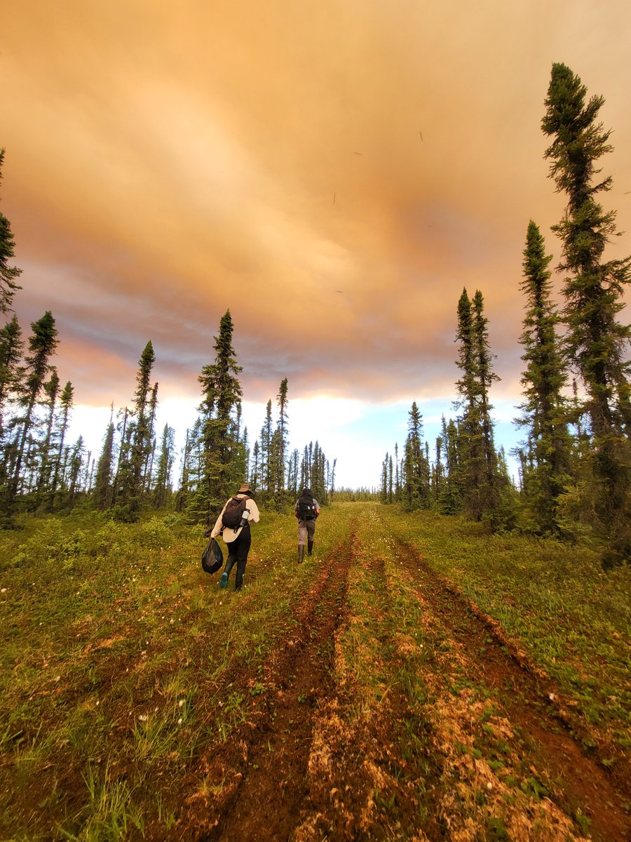 #Fieldwork can take you places you never thought possible. #albertafire #bog #ymm