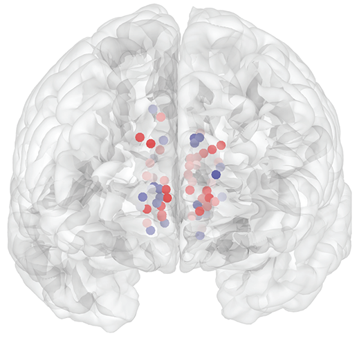 TCHResearchNews (@tchresearchnews) on Twitter photo A study published today in <a href="/NatureComms/">Nature Communications</a> by Drs. <a href="/SameerShethMD/">Sameer Sheth</a>, B. Hayden & J. Xiao <a href="/bcmhouston/">BCMHouston</a> & <a href="/TexasChildrens/">Texas Children's</a> reveals a novel and unique neural signature for #depression: bit.ly/3xNztA7 #mentalhealth #Psychiatry A study published today in <a href="/NatureComms/">Nature Communications</a> by Drs. <a href="/SameerShethMD/">Sameer Sheth</a>, B. Hayden & J. Xiao <a href="/bcmhouston/">BCMHouston</a> & <a href="/TexasChildrens/">Texas Children's</a> reveals a novel and unique neural signature for #depression: bit.ly/3xNztA7 #mentalhealth #Psychiatry