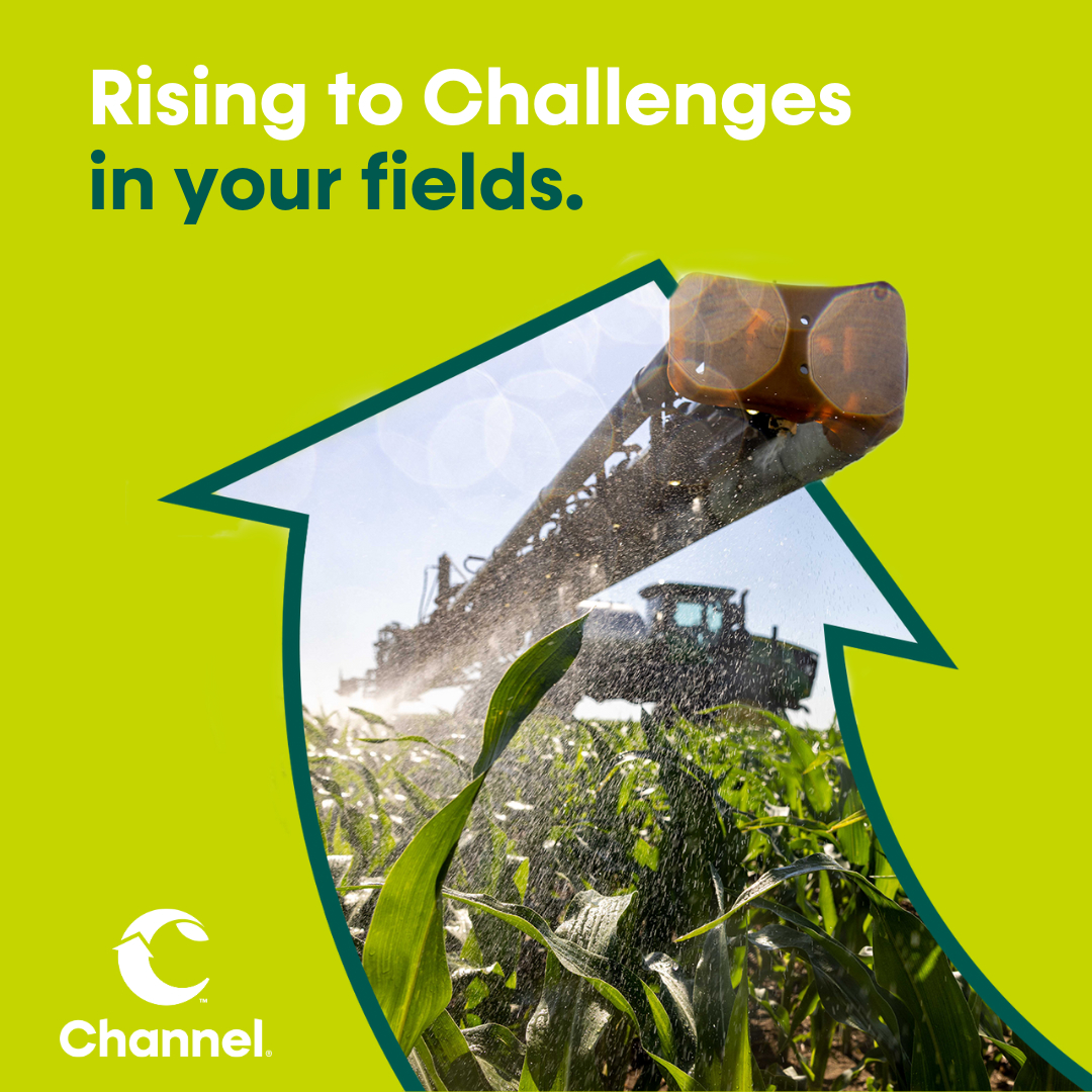 ⏱️ Timing is key for tar spot control! One VT stage fungicide usually works, but consider a second in early R stages. Use a labeled fungicide and act early. 🌽 Contact your local Channel TA or SeedPro for more info. #ChannelingUp #TarSpot #Grow24 #Spray24