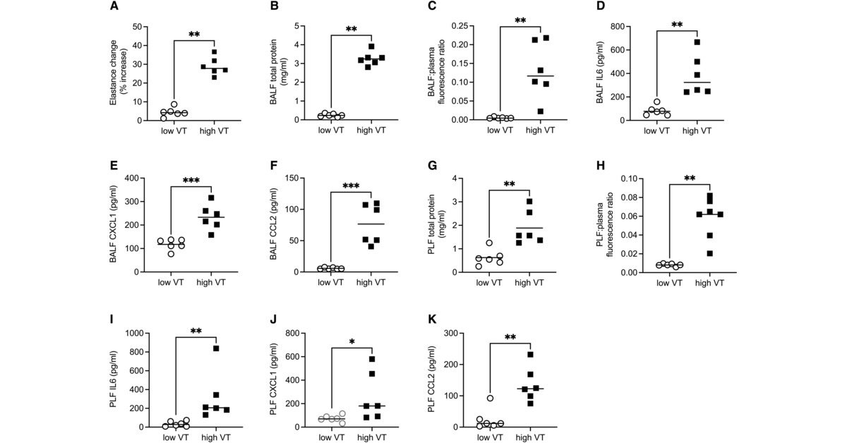 AJRCMB's tweet photo. Ventilator-induced Lung Injury Promotes Inflammation within the Pleural Cavity

🔗 https://t.co/qYImZTCtBY https://t.co/clNeOJRIsn