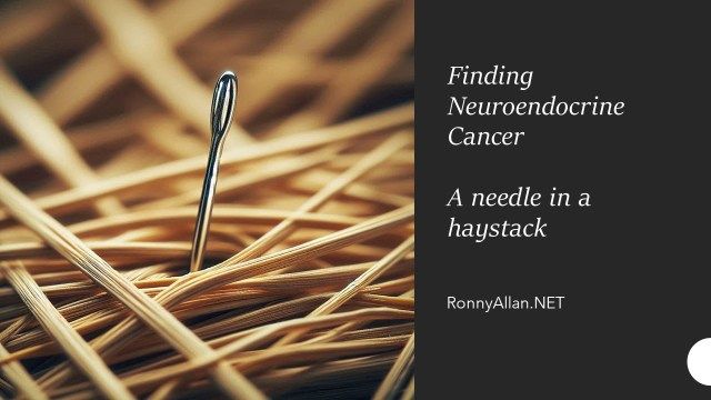 RonnyAllan1's tweet photo. Neuroendocrine Cancer: a needle in a haystack? https://t.co/aVAL32D9YI https://t.co/9pGcJiUcls