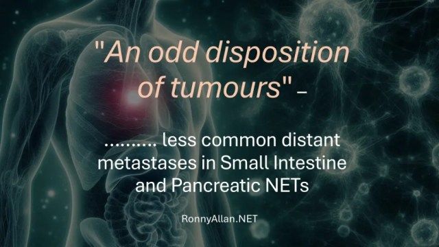 RonnyAllan1's tweet photo. Neuroendocrine Cancer: a needle in a haystack? https://t.co/aVAL32D9YI https://t.co/9pGcJiUcls